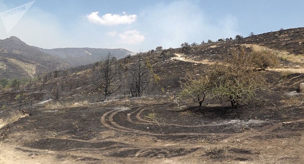 Հրդեհավտանգ իրավիճակը պահպանվում է