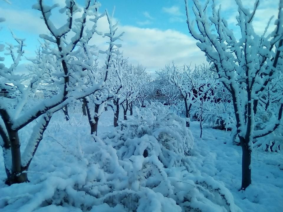 Ի՞նչ տեսք ունի Հայաստանի գարնանային ձմեռը