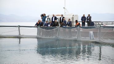 Ի՞նչ արդյունք է տալիս Սևանա լճի ձկնապաշարը համալրելուն ուղղված ծրագիրը