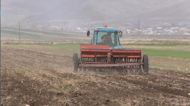 Շիրակի մարզում գարնանացանի աշխատանքները թանկացել են