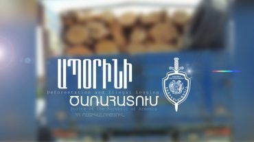 «Սևան» ազգային պարկում ապօրինի ծառահատման դեպք է արձանագրվել