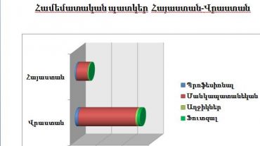 Մարզերում, քաղաքներում ֆուտբոլի դպրոցներ կառուցելը, մարզադաշտեր վերականգնելն անհրաժեշտություն է. ՀՖՖ նախագահի խորհրդական