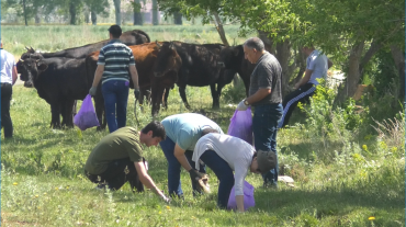 Շիրակի մարզում համապետական շաբաթօրյակ է անցկացվել