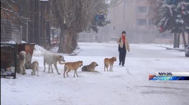 Հորիզոն 22.00