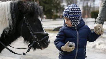 Ռուսաստանի քաղաքներից մեկում պոնին հարձակվել է յոթամյա տղայի վրա