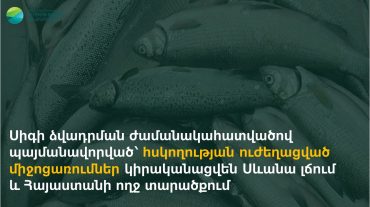 Սիգի ձվադրման ժամանակահատվածով պայմանավորված՝ հսկողության ուժեղացված միջոցառումներ կիրականացվեն Սևանա լճում և Հայաստանի ողջ տարածքում