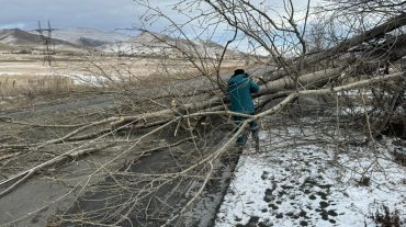 Փրկարարները ծառը հեռացրել են ճանապարհի երթևեկելի հատվածից