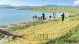 Արտանիշի և Նորաշենի արգելոցներին հարող ափամերձ հատվածում լճից դուրս է բերվել ապօրինի տեղադրված 195 հատ խեցգետնաորսիչ և 35 հատ ձկնորսական ցանց