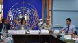 ՆԳՆ հայտի հիման վրա՝ ՄԱԿ-ի կողմից իրականացվել է Լոռու և Տավուշի մարզերում աղետի ազդեցության, վնասի և մարդասիրական կարիքների առաջնային գնահատում