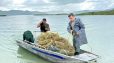 Սևանա լճից դուրս է բերվել ապօրինի տեղադրված 101 հատ խեցգետնաորսիչ և 7 հատ ձկնորսական ցանց