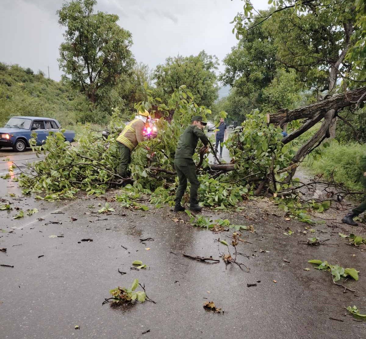 Ուժեղ քամուց տապալվել են ծառեր