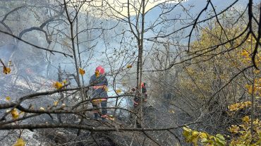 Հրդեհ Սյունիքի մարզի Ծավ գյուղում