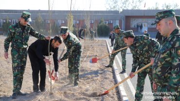 Ծառատունկ՝ «Արմավիր» ՔԿՀ-ում