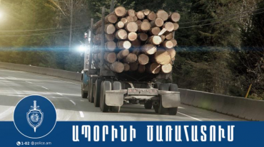 Դիլիջանի համայնքային ոստիկանները բացահայտել են ապօրինի ծառահատման դեպքերը